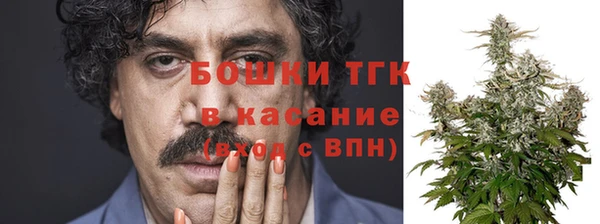 шишки Новодвинск