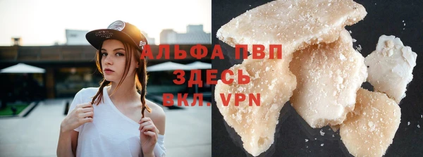 стафф Новокубанск