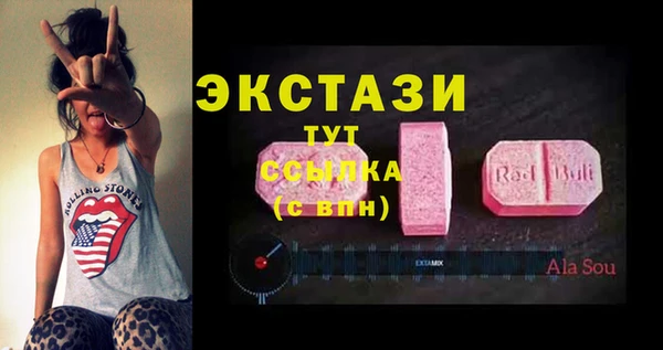 хмурый Новозыбков
