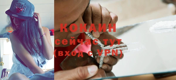 прущие грибы Нягань