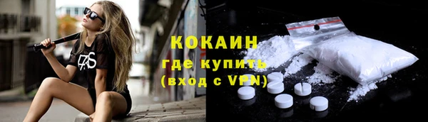 тгк Нея