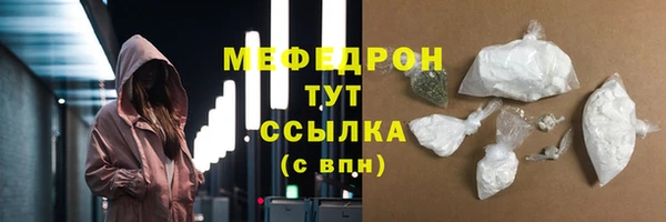 шишки Новодвинск