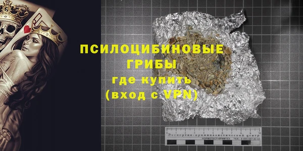 прущие грибы Нягань