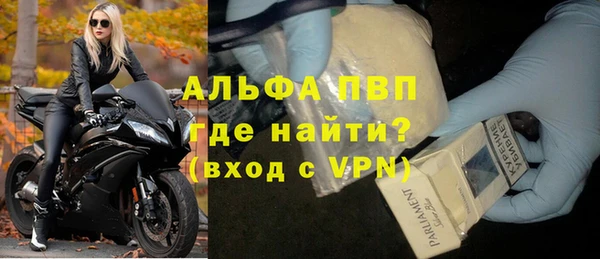 прущие грибы Нягань