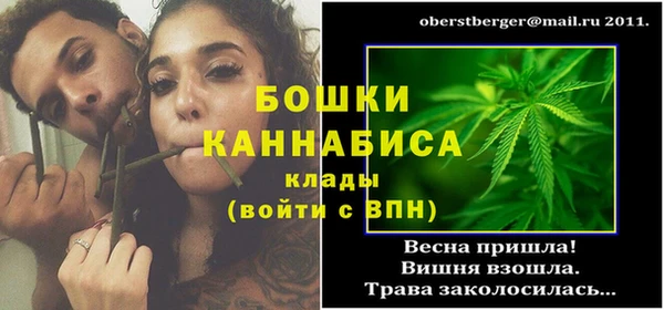 прущие грибы Нягань