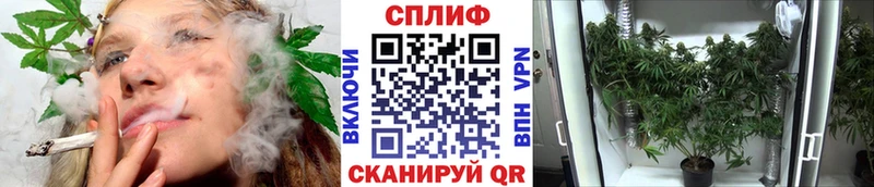 Бошки марихуана OG Kush  Невельск 